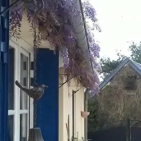 Alojamento de Acomodação e Pequeno-almoço Les Glycines Javron-Les-Chapelles