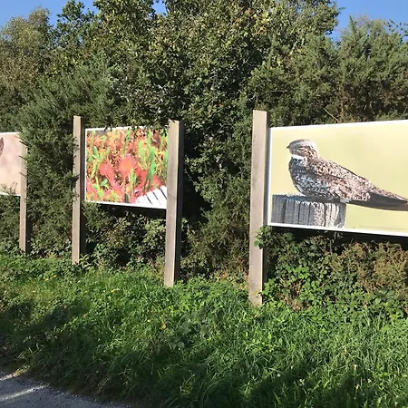 Les Glycines Alojamento de Acomodação e Pequeno-almoço Javron-Les-Chapelles