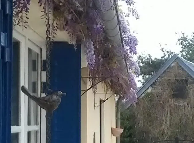 Bed and breakfast Les Glycines Javron-Les-Chapelles