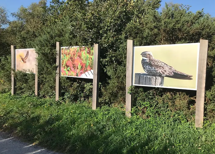 Les Glycines Bed and breakfast Javron-Les-Chapelles