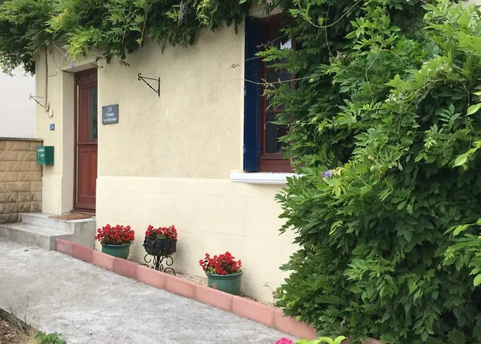 Les Glycines Javron-Les-Chapelles